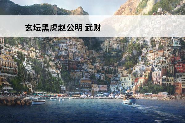 玄坛黑虎赵公明 武财神—黑虎玄坛赵元帅