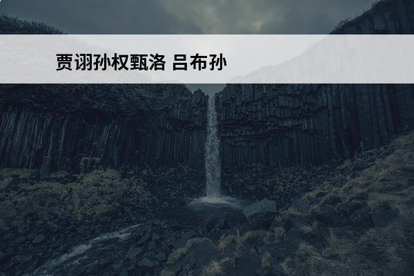 贾诩孙权甄洛 吕布孙