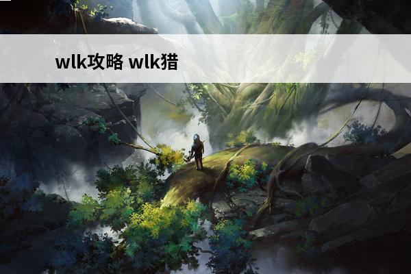 wlk攻略 wlk猎人攻略