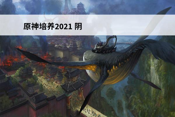 原神培养2021 阴