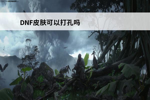 DNF皮肤可以打孔吗 dnf稀有皮肤怎么获得(dnf皮肤有稀有吗)