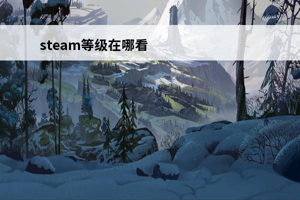 steam等级在哪看(如何看steam等级)