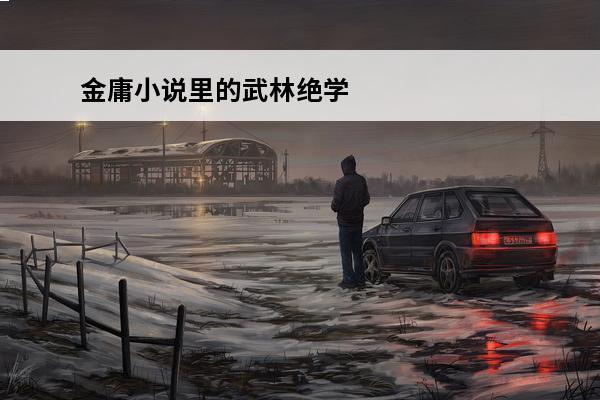 金庸小说里的武林绝学