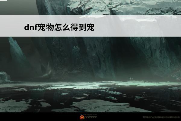 dnf宠物怎么得到宠物 dnf免费宠物怎么获得？ DNF宠物怎么免费得到？