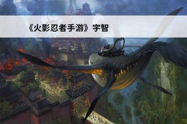 《火影忍者手游》宇智