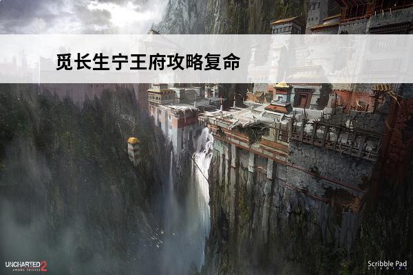 觅长生宁王府攻略复命