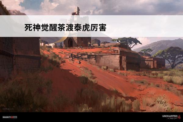 死神觉醒茶渡泰虎厉害么(茶渡泰虎厉害吗)