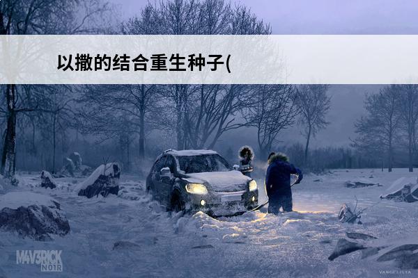 以撒的结合重生种子(以撒的结合重生种子有什么用)