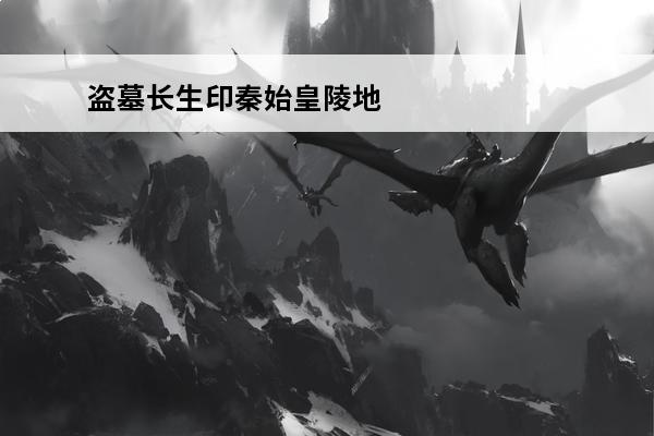 盗墓长生印秦始皇陵地图 盗墓长生印秦始皇陵攻略-盗墓长生印秦始皇陵怎么过
