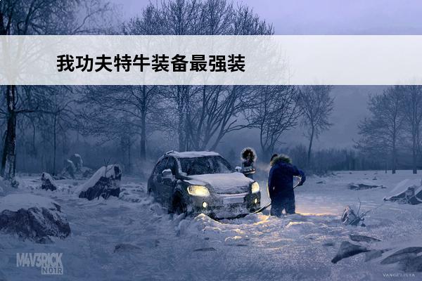 我功夫特牛装备最强装备介绍_我功夫特牛装备最强装备是什么(我功夫特牛全装备解锁)
