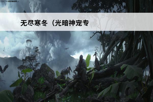 无尽寒冬（光暗神宠专