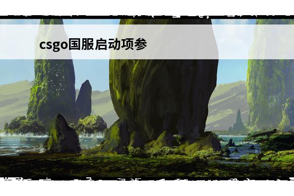 csgo国服启动项参