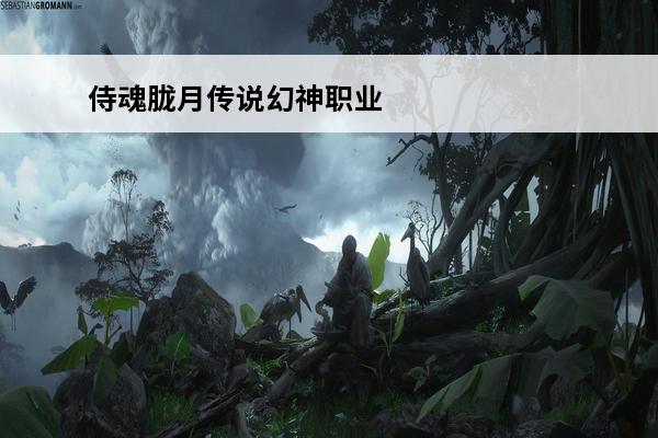 侍魂胧月传说幻神职业 侍魂胧月传说pk哪个职业厉害侍魂胧月传说PK职业推荐