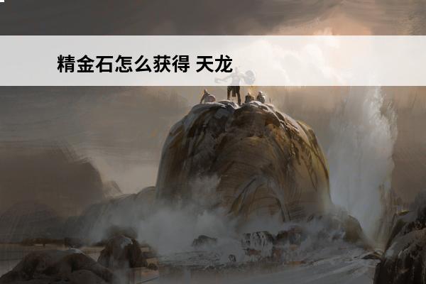 精金石怎么获得 天龙八部精金石怎么换精金石匣