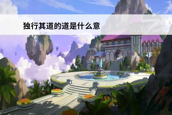 独行其道的道是什么意思(独行其道道什么意思)