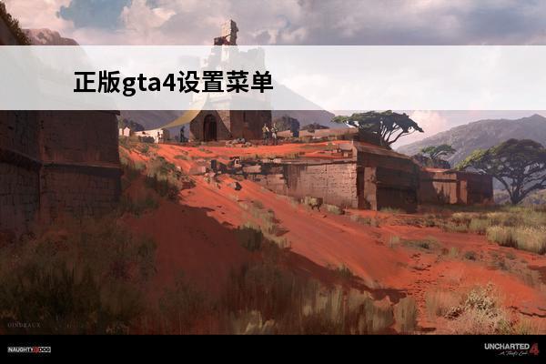 正版gta4设置菜单