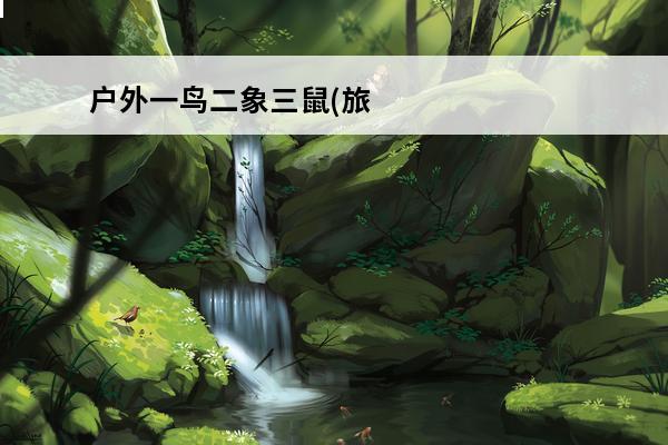 户外一鸟二象三鼠(旅行鼠户外)