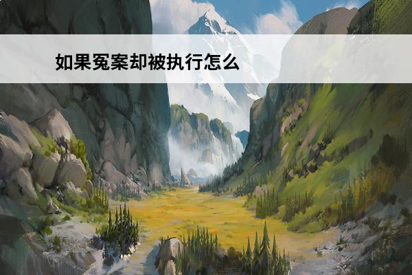 如果冤案却被执行怎么办(冤案被强制执行怎么办)