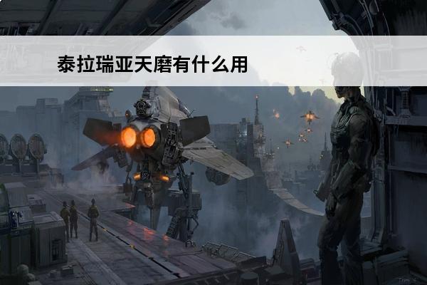 泰拉瑞亚天磨有什么用(泰拉瑞亚天磨怎么做)