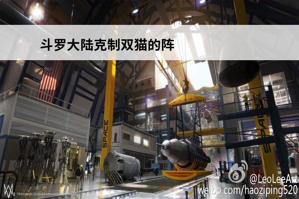 斗罗大陆克制双猫的阵容(双猫阵容)