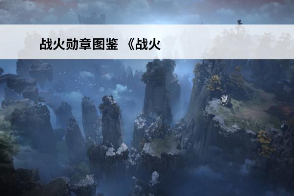 战火勋章图鉴 《战火