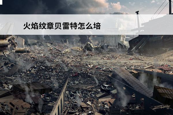 火焰纹章贝雷特怎么培养 火焰纹章Engage贝雷特厉害吗