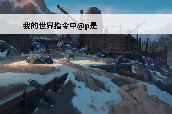 我的世界指令中@p是什么意思 我的世界指令中的@a，@p，@r指的是什么意思