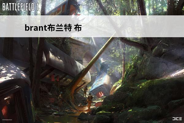 brant布兰特 布兰特什么水平