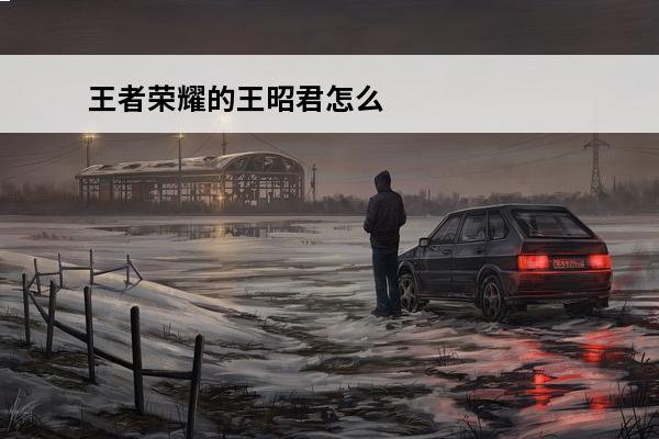 王者荣耀的王昭君怎么玩厉害 《王者荣耀》王昭君怎么玩才厉害?