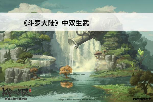 《斗罗大陆》中双生武魂有哪些？(斗罗大陆双生武魂有哪些)