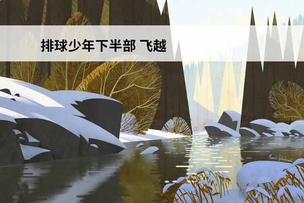 排球少年下半部 飞越