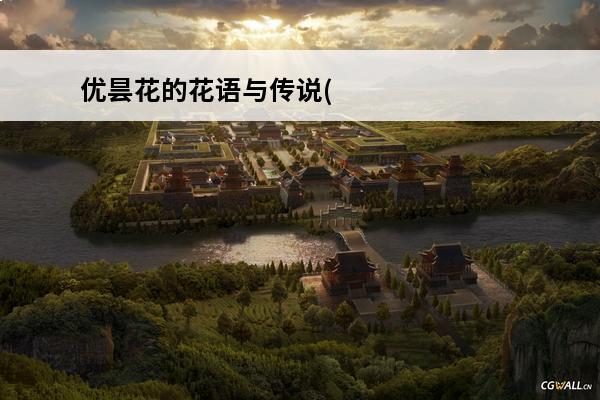 优昙花的花语与传说(优昙花的传说)