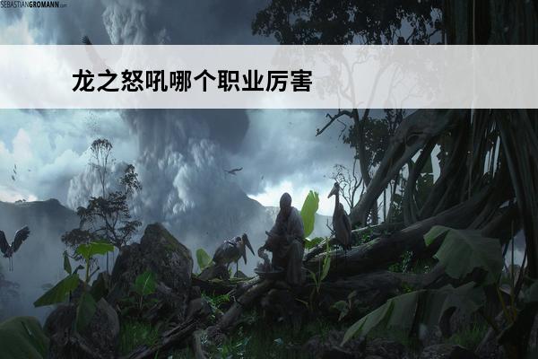 龙之怒吼哪个职业厉害(龙之怒吼平民职业推荐)