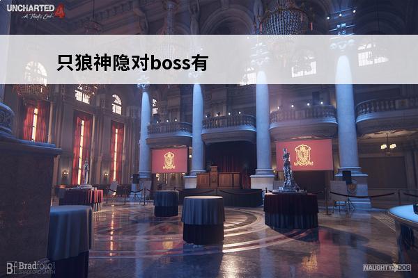 只狼神隐对boss有用吗 神隐只狼怎么获取