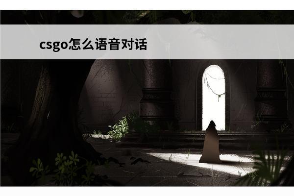 csgo怎么语音对话(语音对话的游戏)