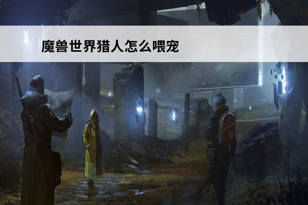 魔兽世界猎人怎么喂宠物的(tbc猎人宠物怎么喂)