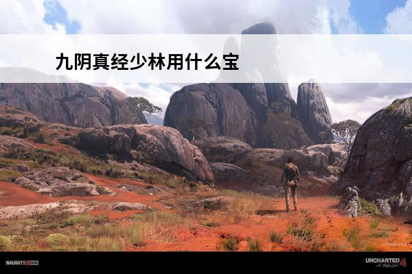 九阴真经少林用什么宝