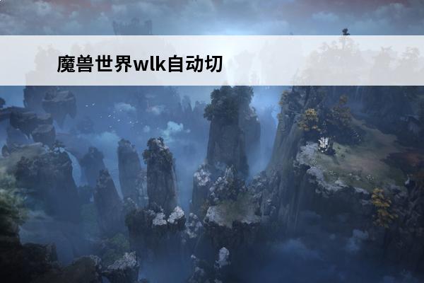 魔兽世界wlk自动切