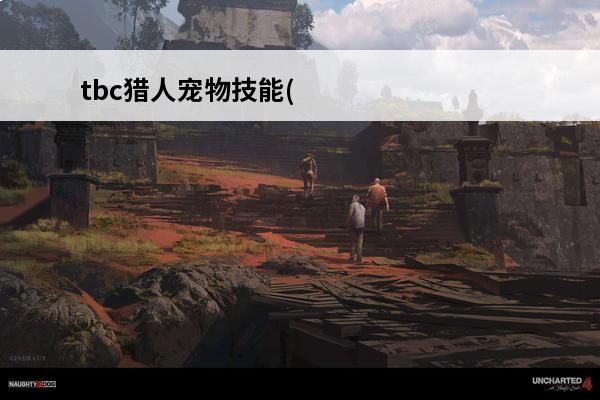tbc猎人宠物技能(tbc猎人隐身宠物)